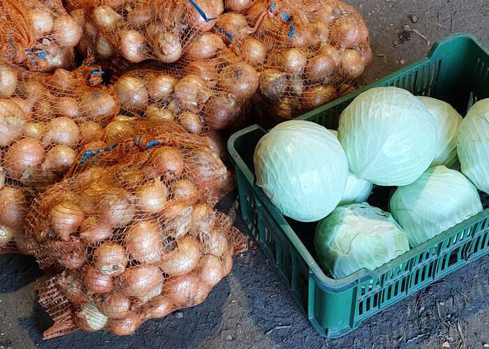 Grajewo ogłoszenia: spzedam cebule  10 zł /10 kg ,sprzedam kapustę 0,8 zł/1 kg